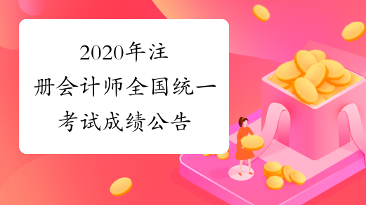 2020年注册会计师全国统一考试成绩公告