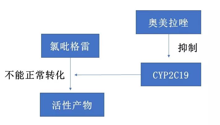 奥美拉唑与氯吡格雷竞争性抑制的发生机制