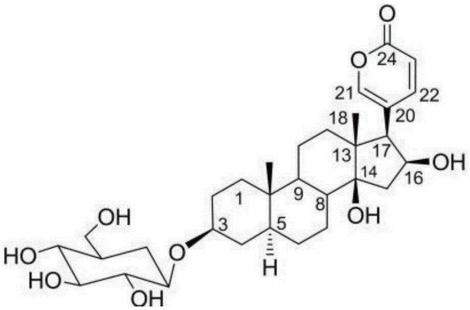 执业药师考试《药学一》知识点:强心苷类药物的结构特点