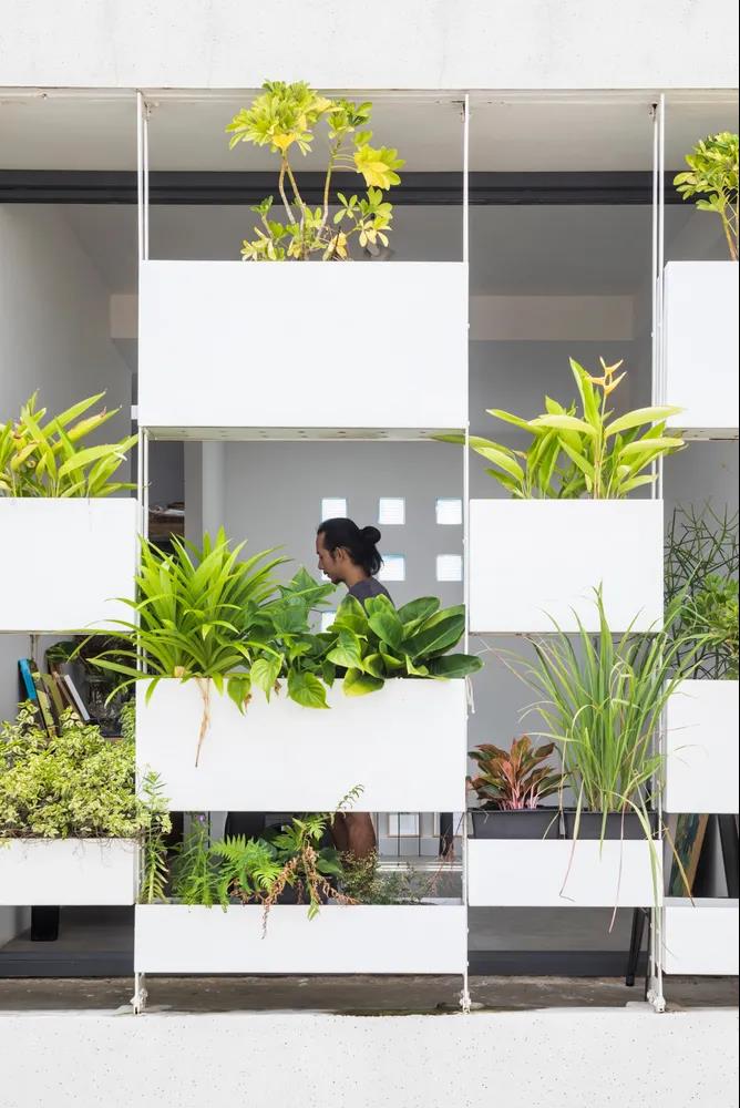 越南超窄建筑SR-1 House，用植物装点立面的元素2.jpg