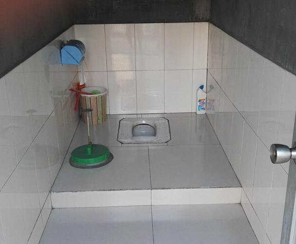 重点聚焦农民不能用,不好用,不会用,不愿用的四类厕所,对农村厕所进行