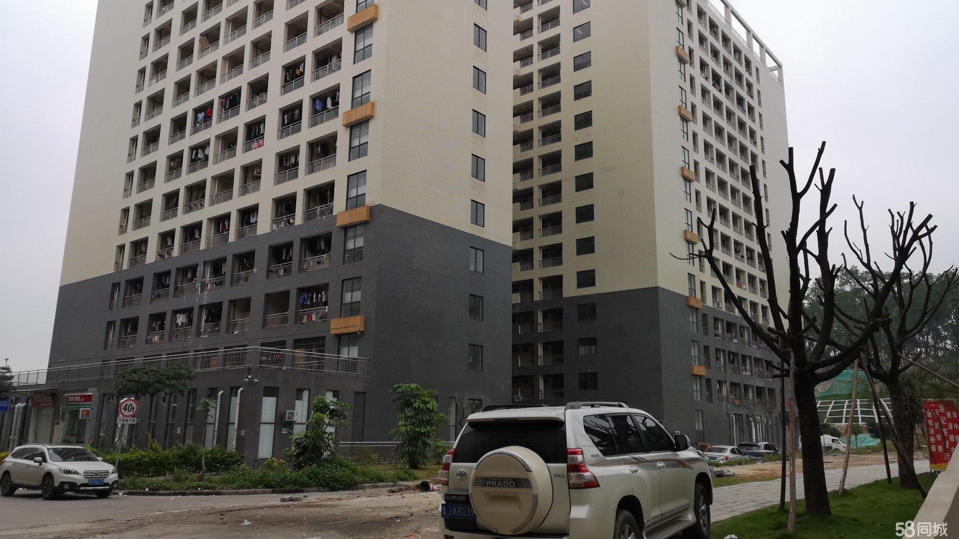 缓解住房供需矛盾，上海集体土地租赁房项目提升青年人才居住品质.jpg