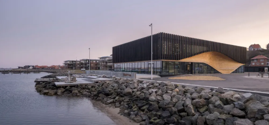 丹麦气候馆，木条纹理立面雕刻出“波浪形有机口袋”.png