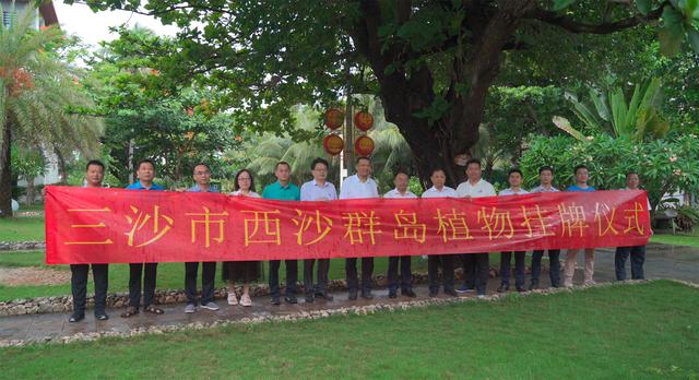 为创建园林城市坚实基础，西沙群岛植物挂上了专属“身份证”