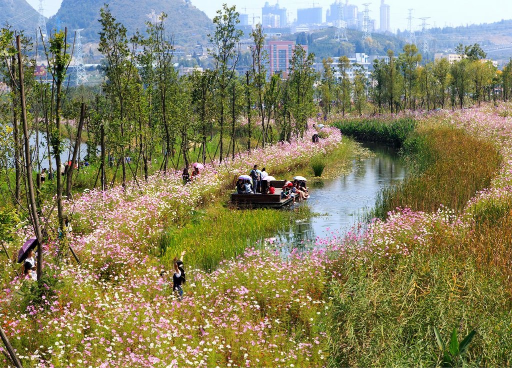 保护生态、美化环境，湿地可持续性景观设计要点.jpg