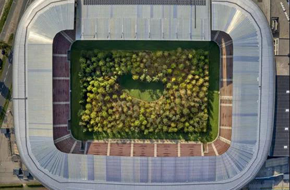 在足球场种植森林，每一棵树就是一个艺术雕塑.jpg
