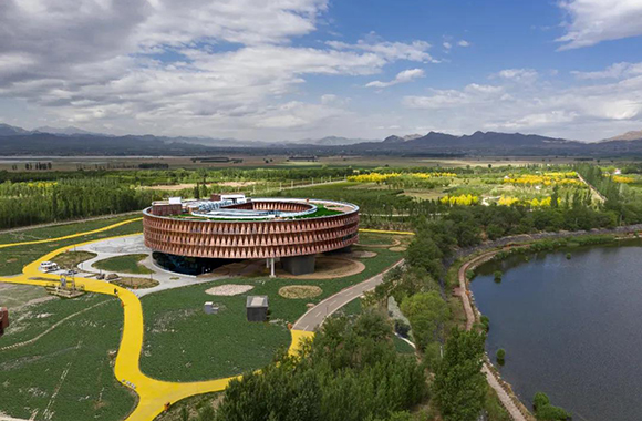 中国怀来湿地博物馆，构筑漂浮于湿地之上的候鸟之巢.jpg