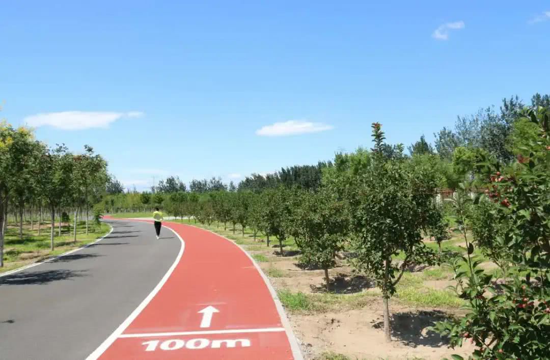 让群众绿色获得感显著增强，北京市大兴区打通7条绿色通道