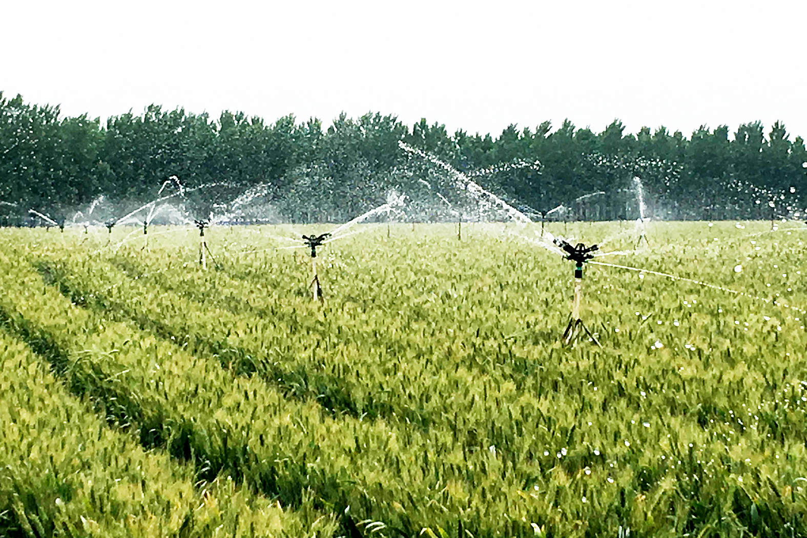 振兴乡村建设，节水灌溉技术在农田水利工程的应用.jpg