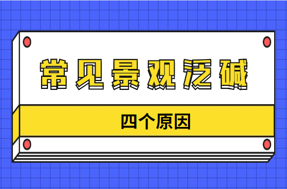 常见景观泛碱问题的四个原因，你了解吗？