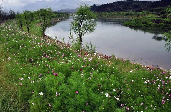 园林景观设计教程看过来：山地植物配置法则