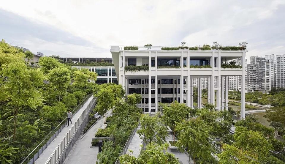 新加坡Oasis Terraces医院4