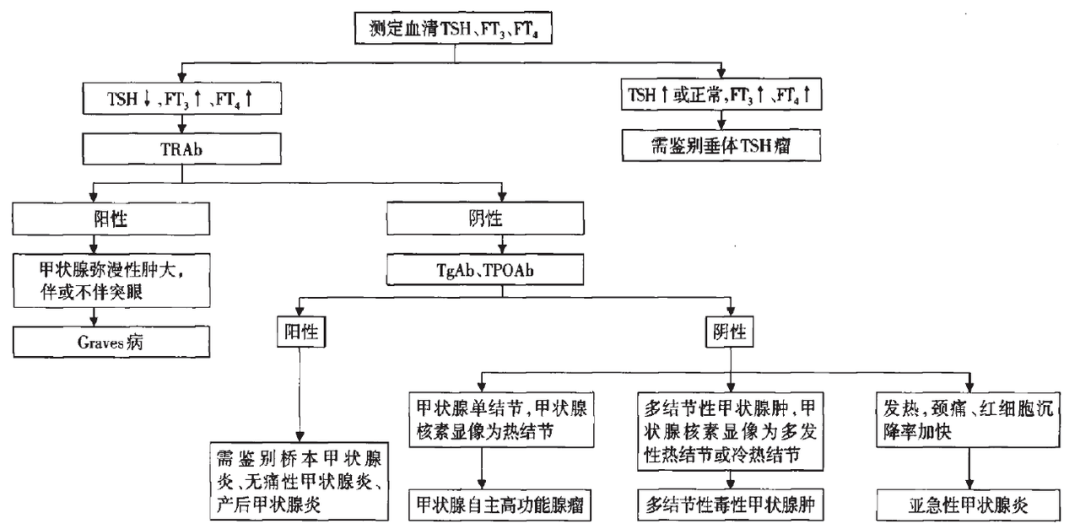 甲亢診斷流程圖