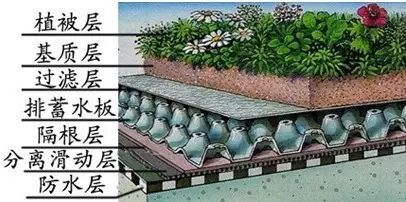 屋顶绿化种植区基本构造典型组成