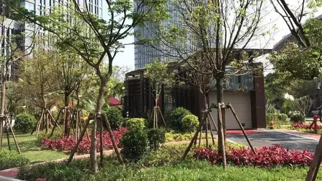 文化中心建成实体