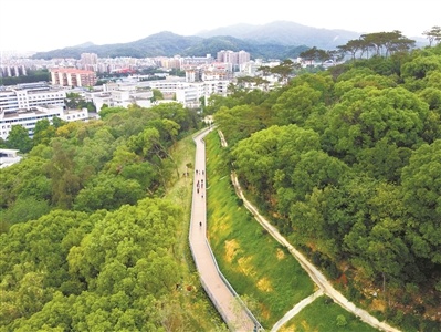 广州全面提升城乡发展质量，加速城市更新速度.jpg