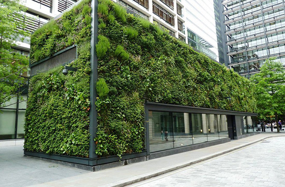 建筑环保论文范文：建筑室内外植物绿墙应用分析.jpg