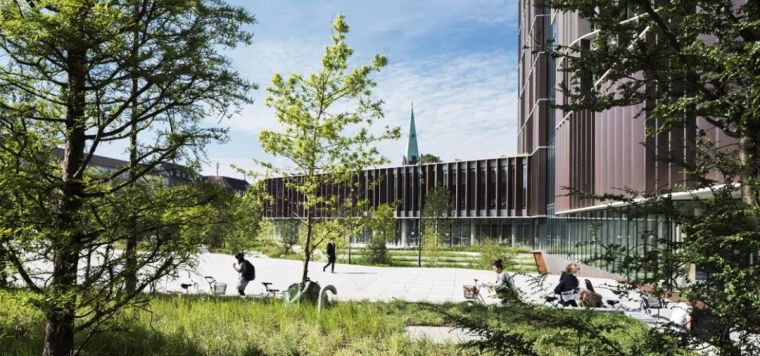 楼顶上的园林风光：哥本哈根大学马士基塔绿色屋顶.jpg