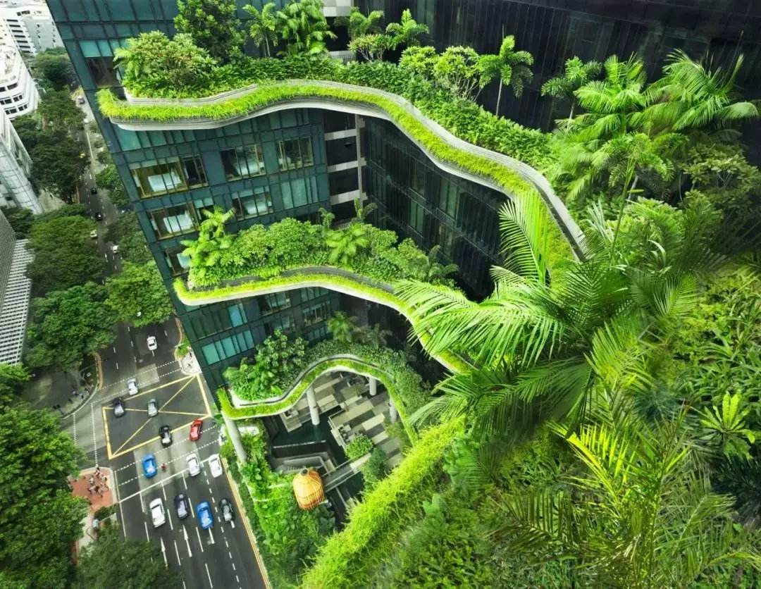 河南加速绿色建筑发展，力争2020年绿建占比达7成.jpg