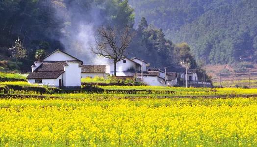 加速农业生产智能化，数字乡村试点建设在安徽落地.jpg