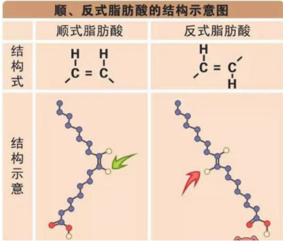 按照饱和程度来分类,又可分为饱和脂肪酸,单不饱和脂肪酸以及多不饱和