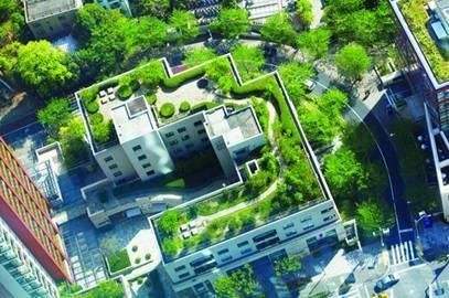 建筑环保论文优秀范文：屋顶绿化研究.jpg