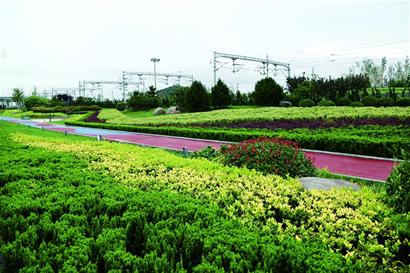 促进建造方式升级，青岛践行绿色发展理念打造绿色城市新典范.jpg