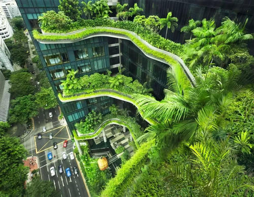 提升建筑节能设计标准要求，海南新建绿色建筑面积占比两年将达70%.jpg
