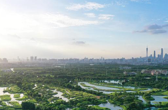 广州“十三五”城市更新取得突破性进展，细数城市提升四个关键词.jpeg