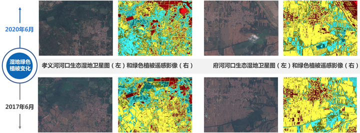 细数2020雄安之变：新区生态治理成果显著.png