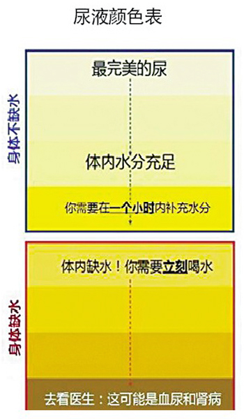 小孩比谁尿的高图片