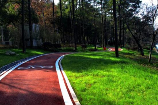 城市焕发新活力，宁波市计划建成绿道2000公里.jpg
