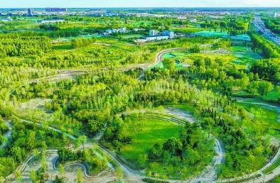 打造森林环抱的绿色空间，北京城市副中心将建首个平原区国家森林城市.jpg