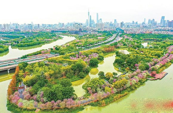 优秀!“广州碧道”获世界景观建筑奖，获奖率仅7%