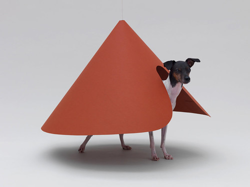 设计：为了爱犬 Architecture for Dogs