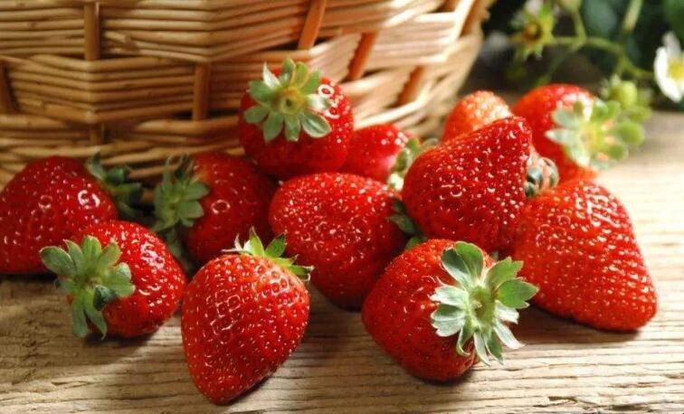 如何鉴别激素草莓
