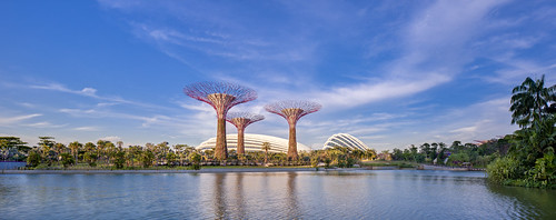 Gardens by the Bay 新加坡滨海湾花园