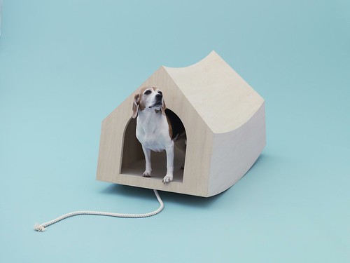 设计：为了爱犬 Architecture for Dogs