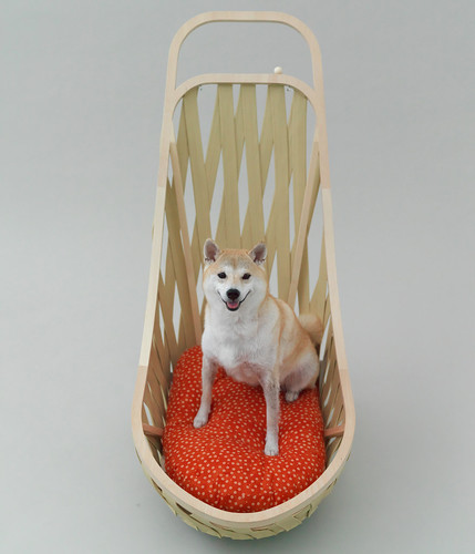 设计：为了爱犬 Architecture for Dogs