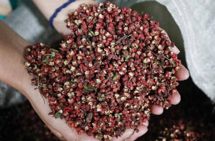 花椒选购技巧是什么