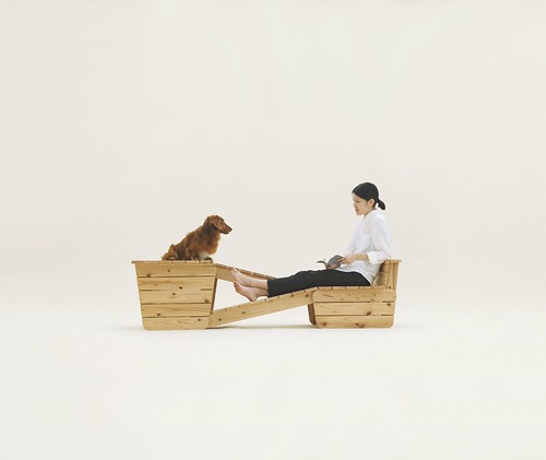 设计：为了爱犬 Architecture for Dogs