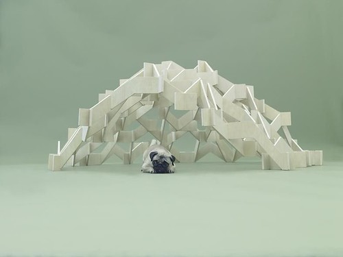 设计：为了爱犬 Architecture for Dogs