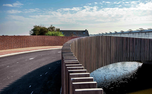 为蝙蝠设计的生态景观桥╱荷兰 NEXT Architects 操刀