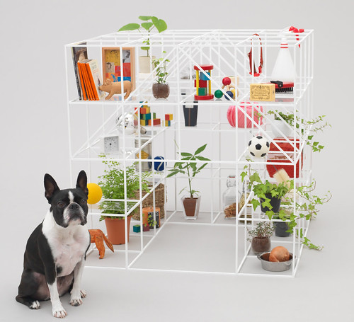 设计：为了爱犬 Architecture for Dogs