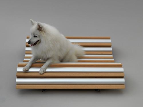 设计：为了爱犬 Architecture for Dogs