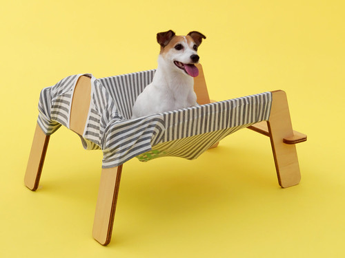 设计：为了爱犬 Architecture for Dogs