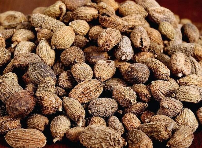 砂仁怎么挑选