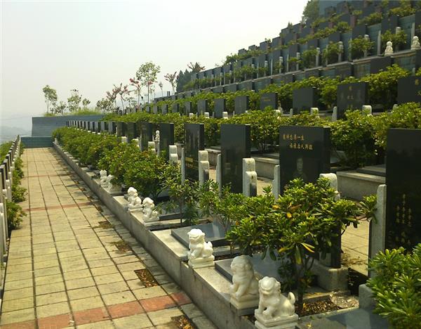 惠来县公墓图片