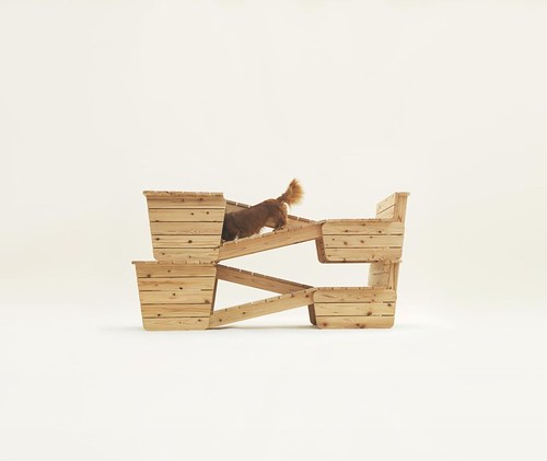 设计：为了爱犬 Architecture for Dogs