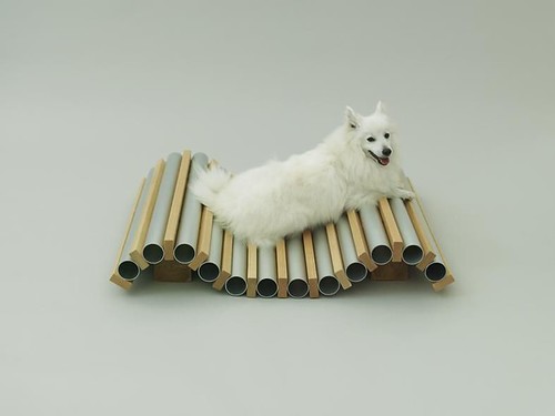 设计：为了爱犬 Architecture for Dogs